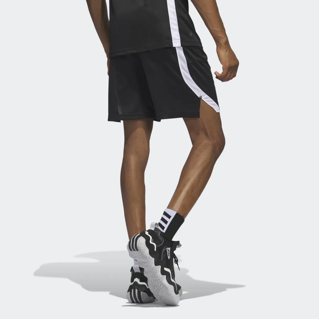 adidas Originals Icon Squad Shorts