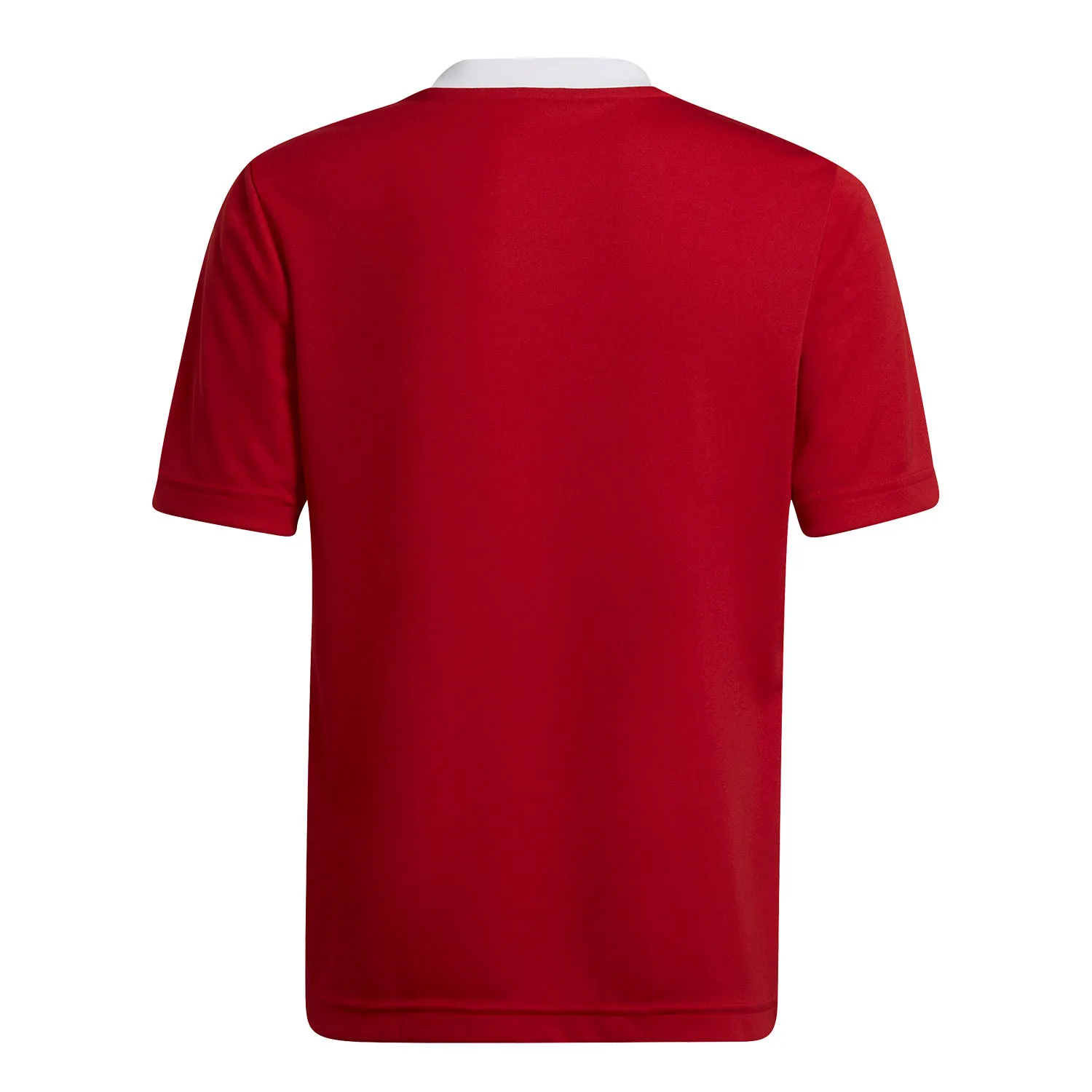 Camiseta adidas Entrada 22 niño