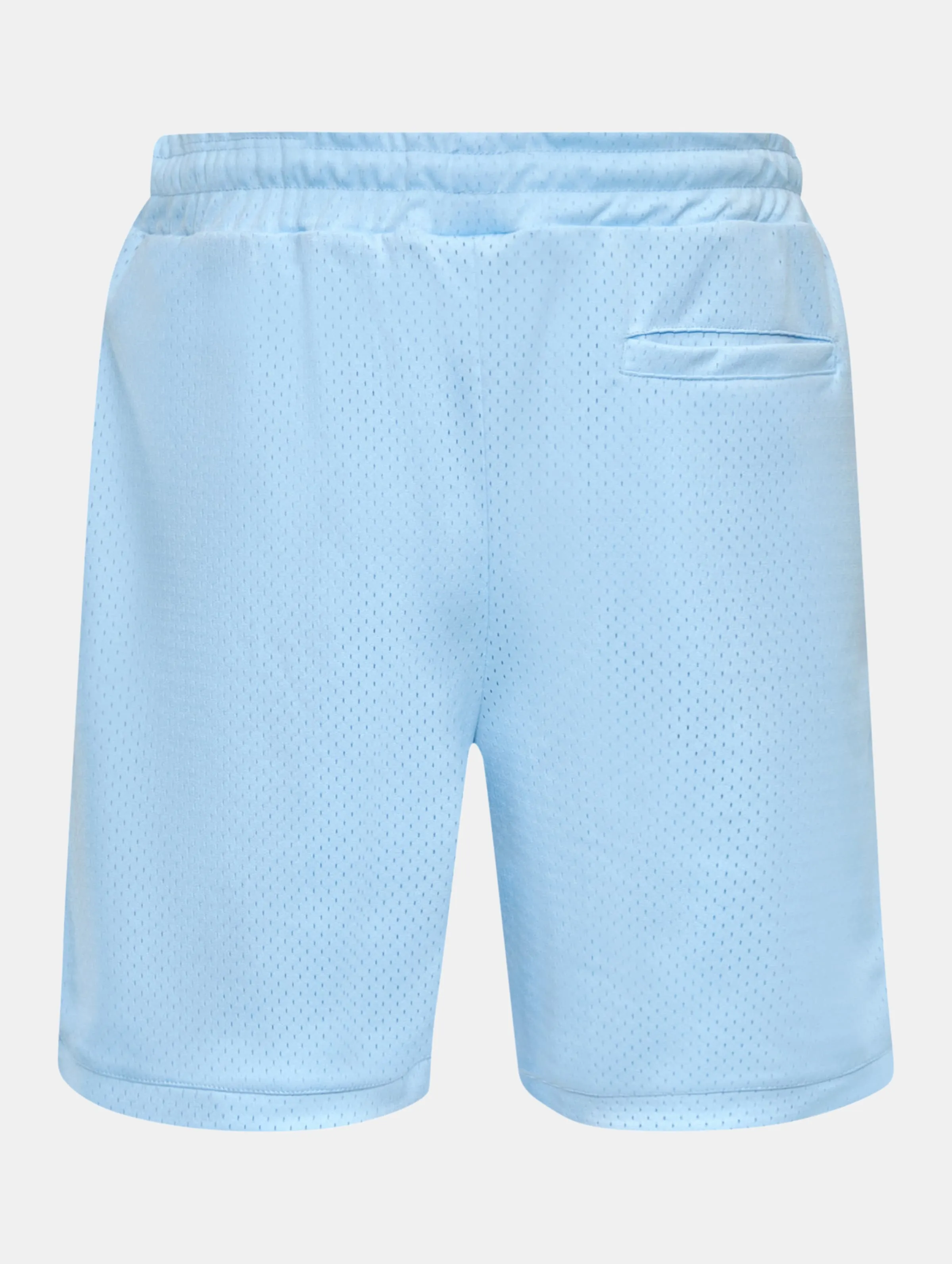 Dropsize Dropsize V2 Mesh Shorts