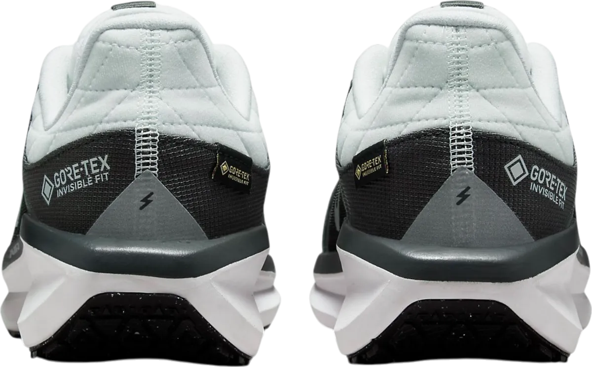 NIKE WINFLO 11 GORETEX